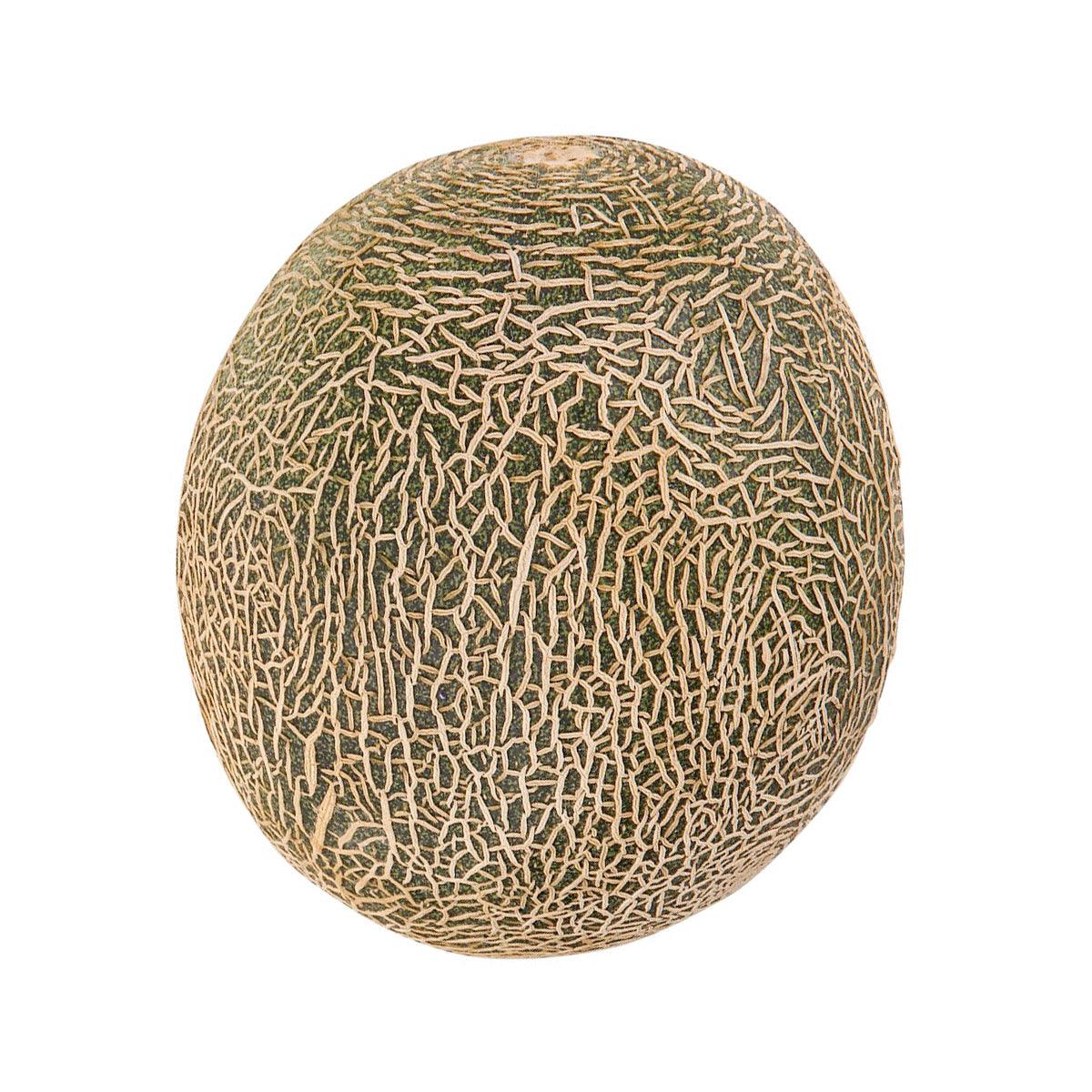 Round Hokkaido raiden melon with beige netted rind and green lines