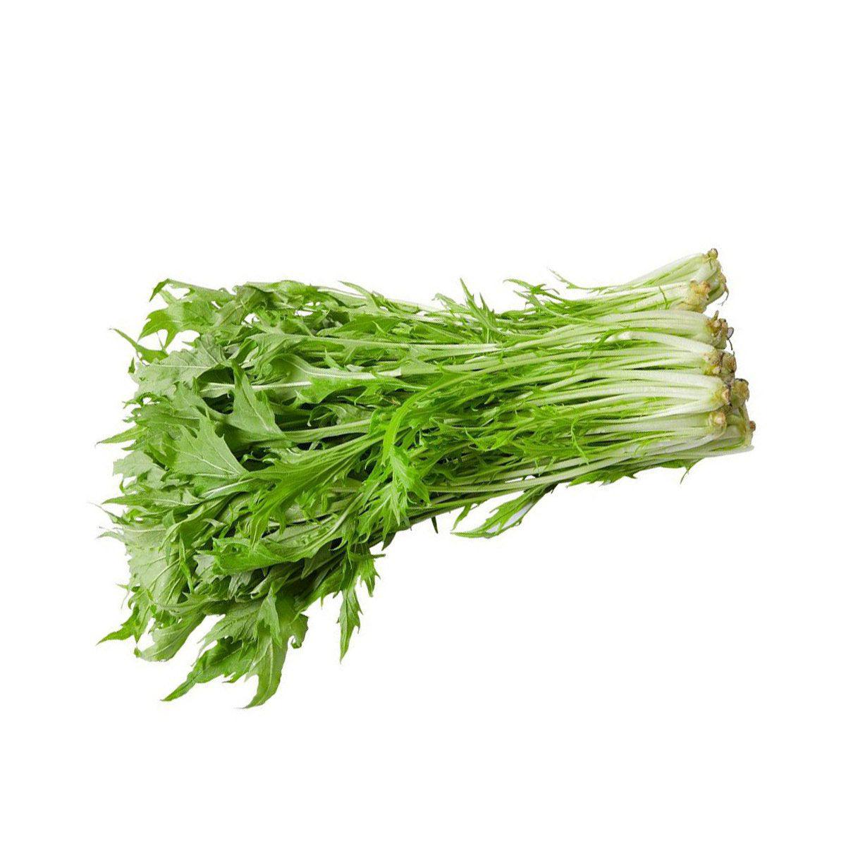 Mizuna lettuce bunch with leafy green stems and frilly leaves