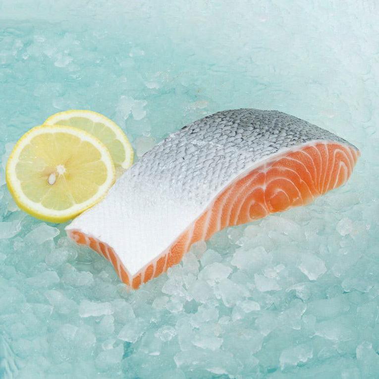 Chilled salmon slice with skin, orange flesh, on ice with lemon wedge