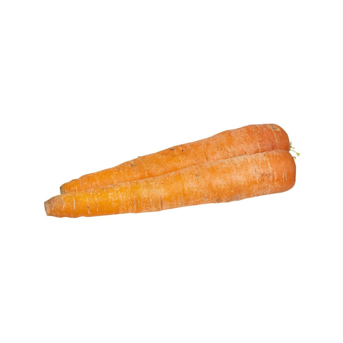 Organic Japanese carrot, orange root vegetable with tapered tip and textured surface