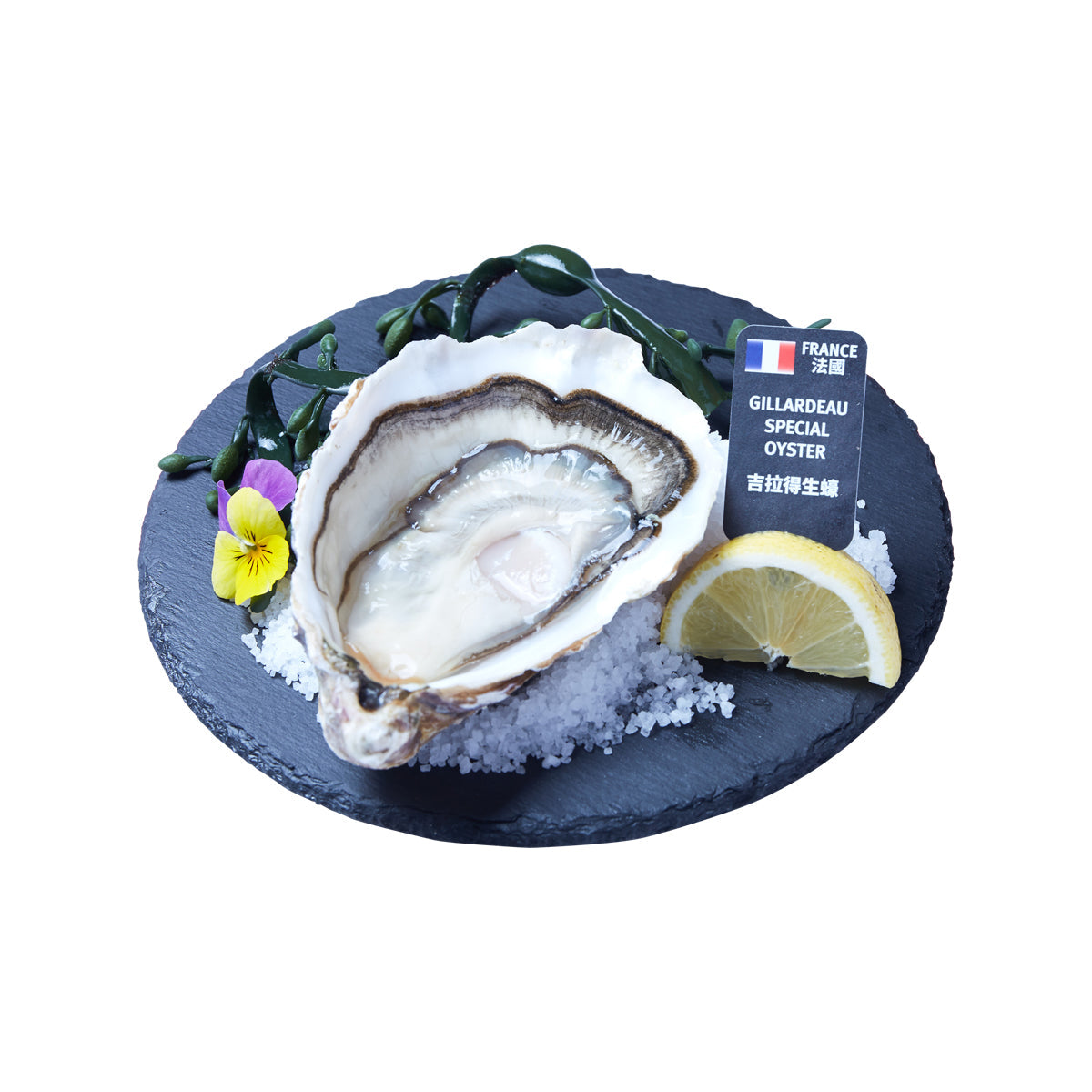Plate of opened oysters with lemon slices and sea greens, shells and raw flesh visible