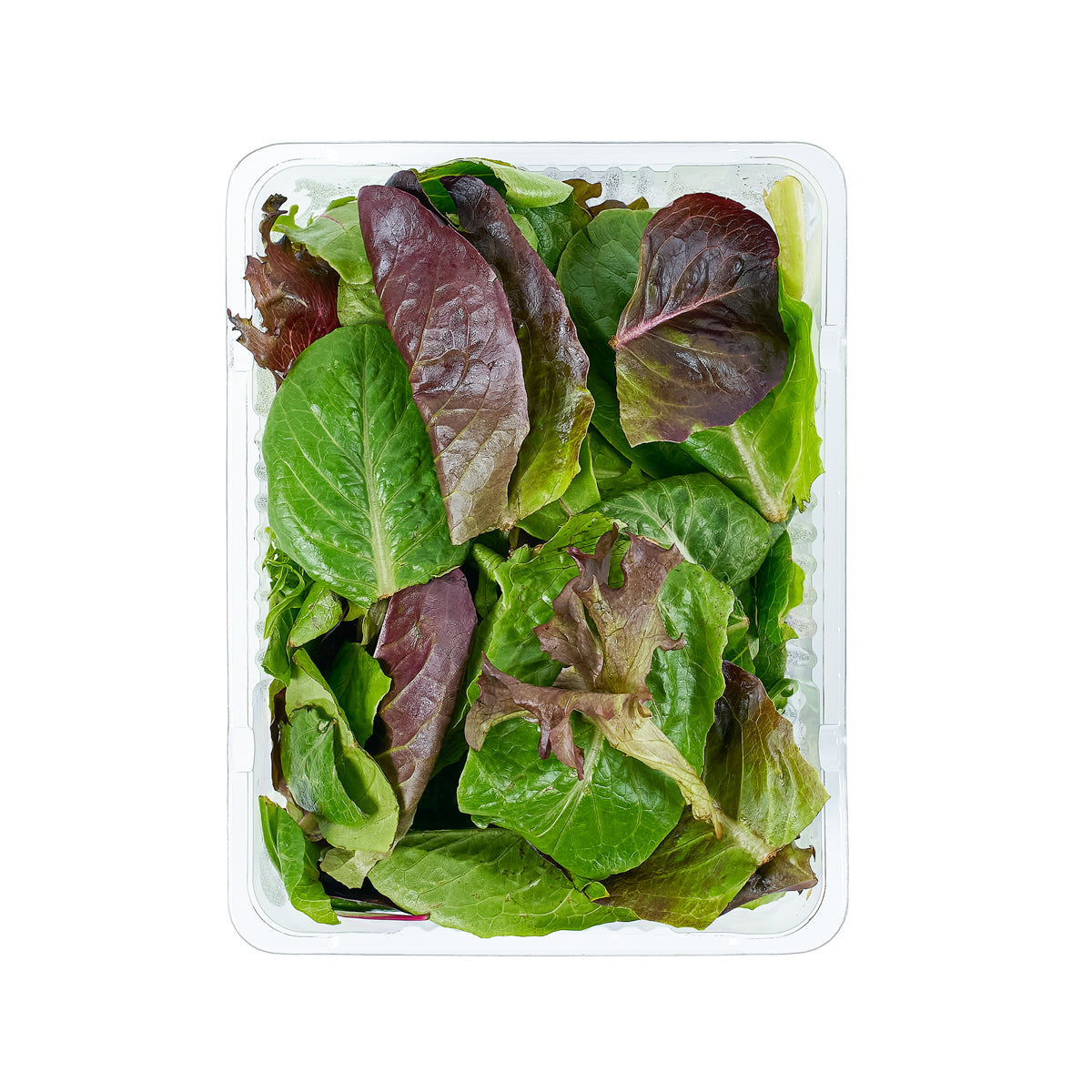Mixed leafy salad greens in clear plastic clamshell container