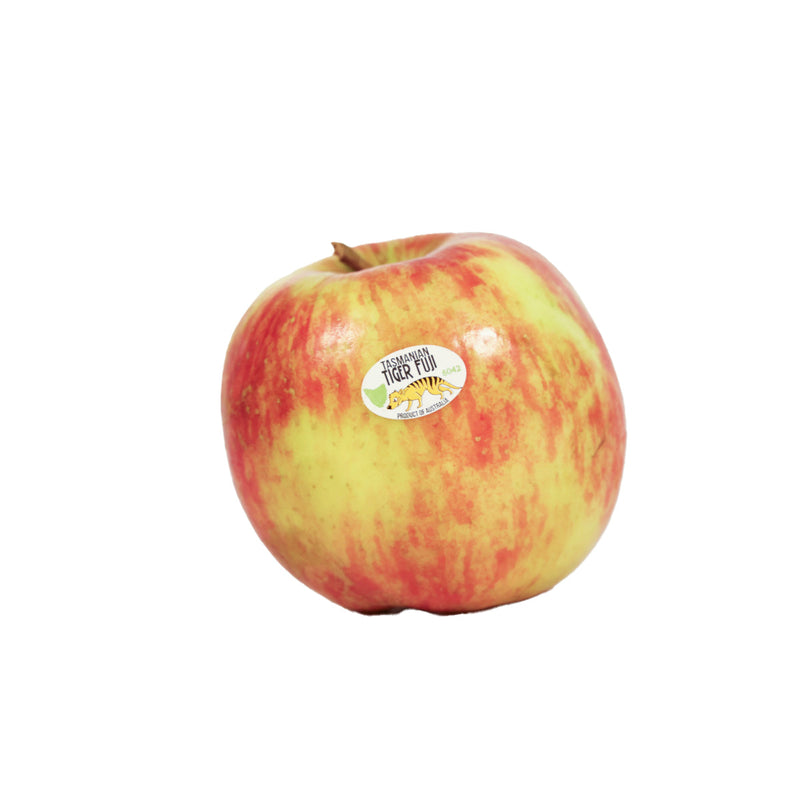 Australia Tasmanian Tiger Fuji Apple  (1pc)