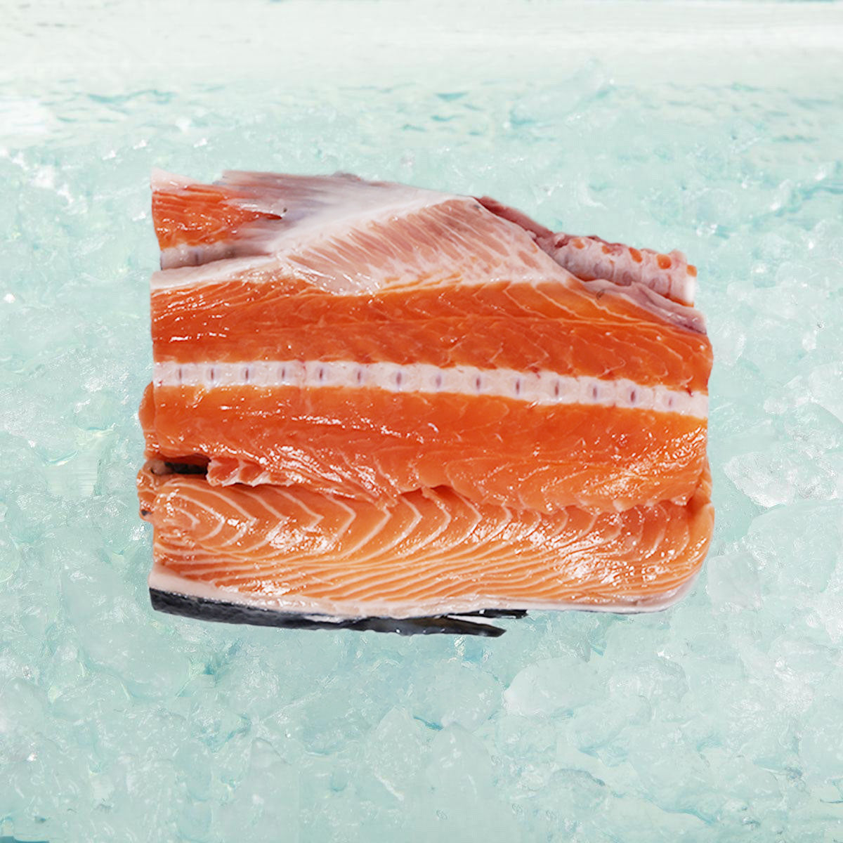 Organic salmon fish bone portion, raw orange salmon fillet piece with visible white fat lines