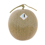 Round light-tan melon with netted green rind and small stem