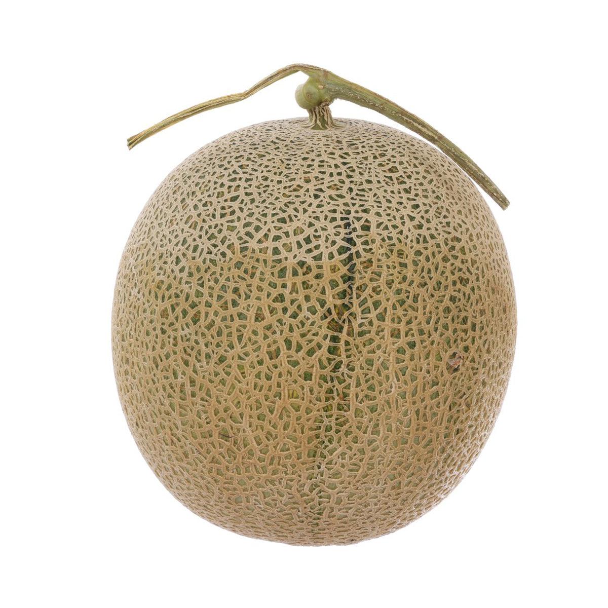 Round melon with netted tan skin, greenish pattern, and curved stem
