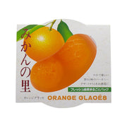 Mandarin orange jelly pouch package with orange fruit illustration