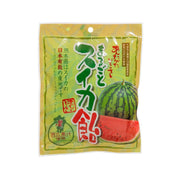 Watermelon candy pouch with green and red watermelon graphic