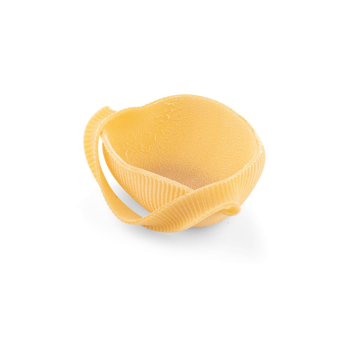 Golden caccavella pasta shell with ridged edge
