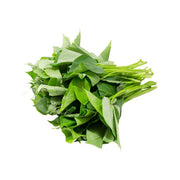 SARINAH organic yam leaves, fresh green leaves bundle