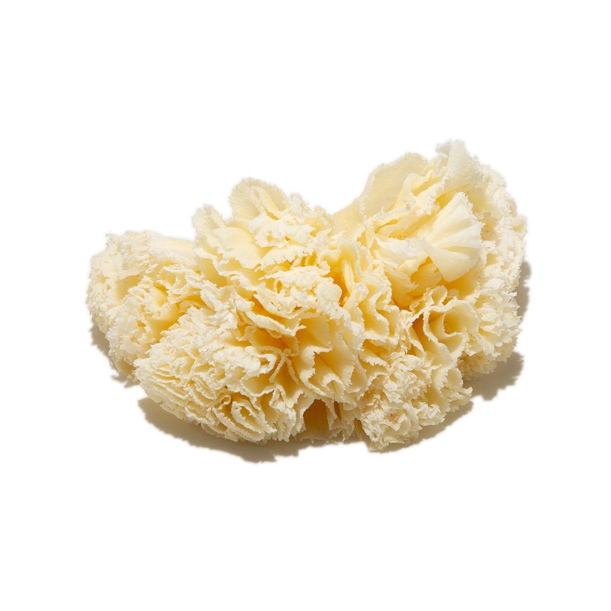 Pale yellow cheese curls, compact wheel form