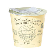 Plain sheep milk yogurt cup, 170g, sealed lid with printed label