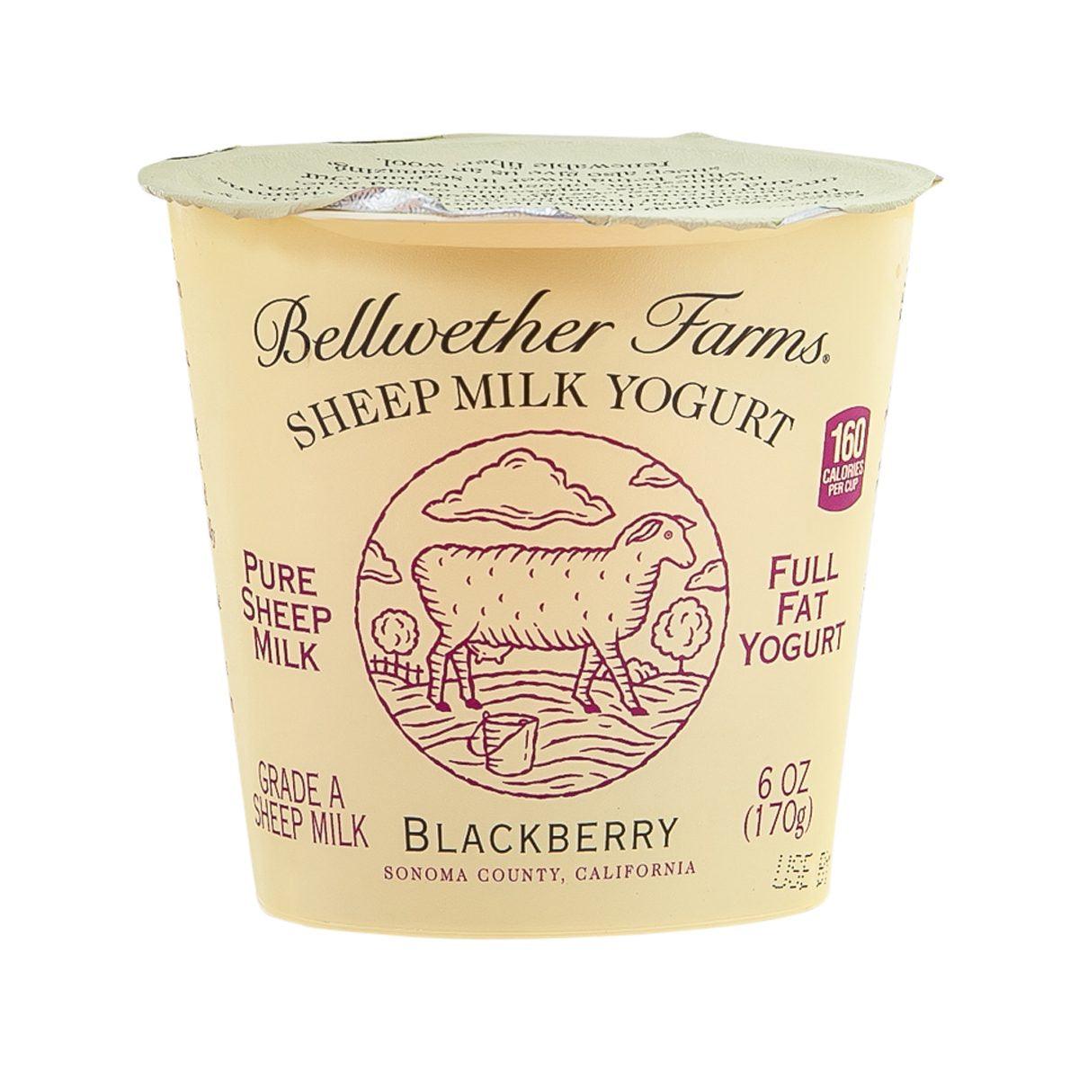 Bellwether Farms sheep milk yogurt cup, blackberry flavor, 170g