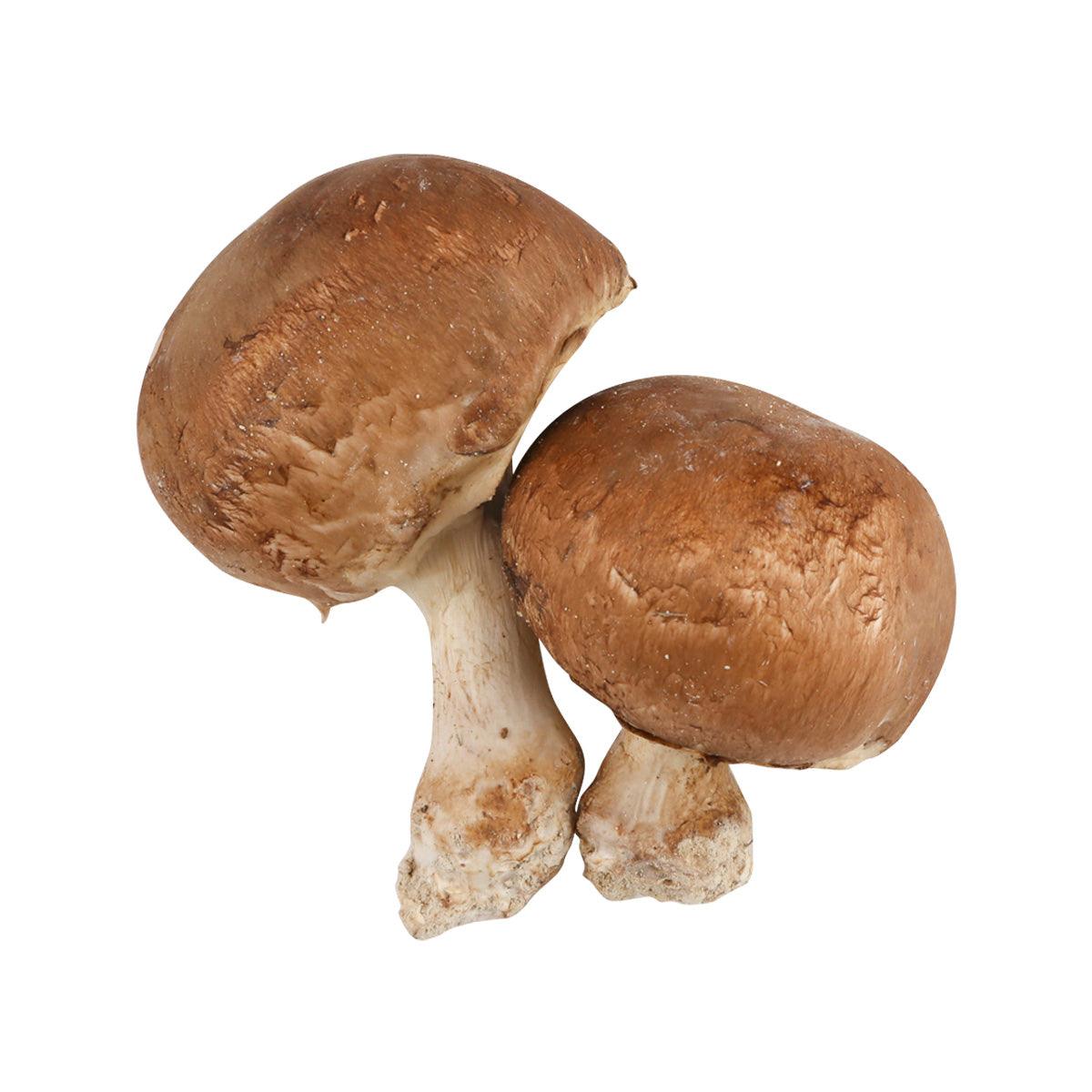 Whole-foot Paris mushrooms, brown caps and pale stems
