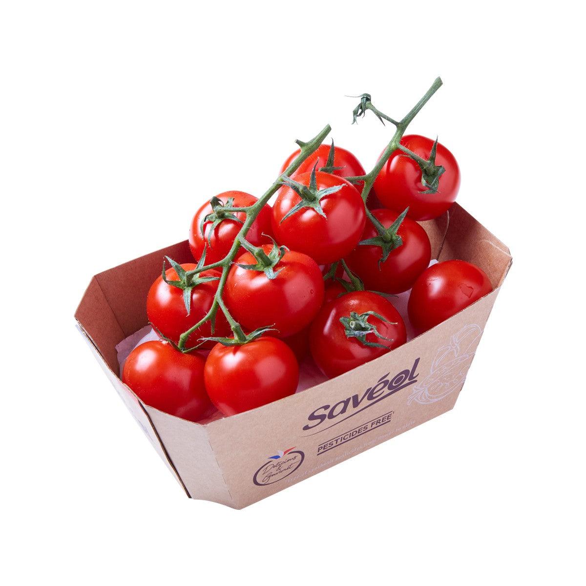 Fresh red cocktail tomatoes on vines in cardboard tray