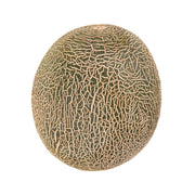 Round Hokkaido raiden melon with beige netted rind and green lines