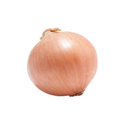 Japanese organic onion, whole, light pinkish-brown papery skin