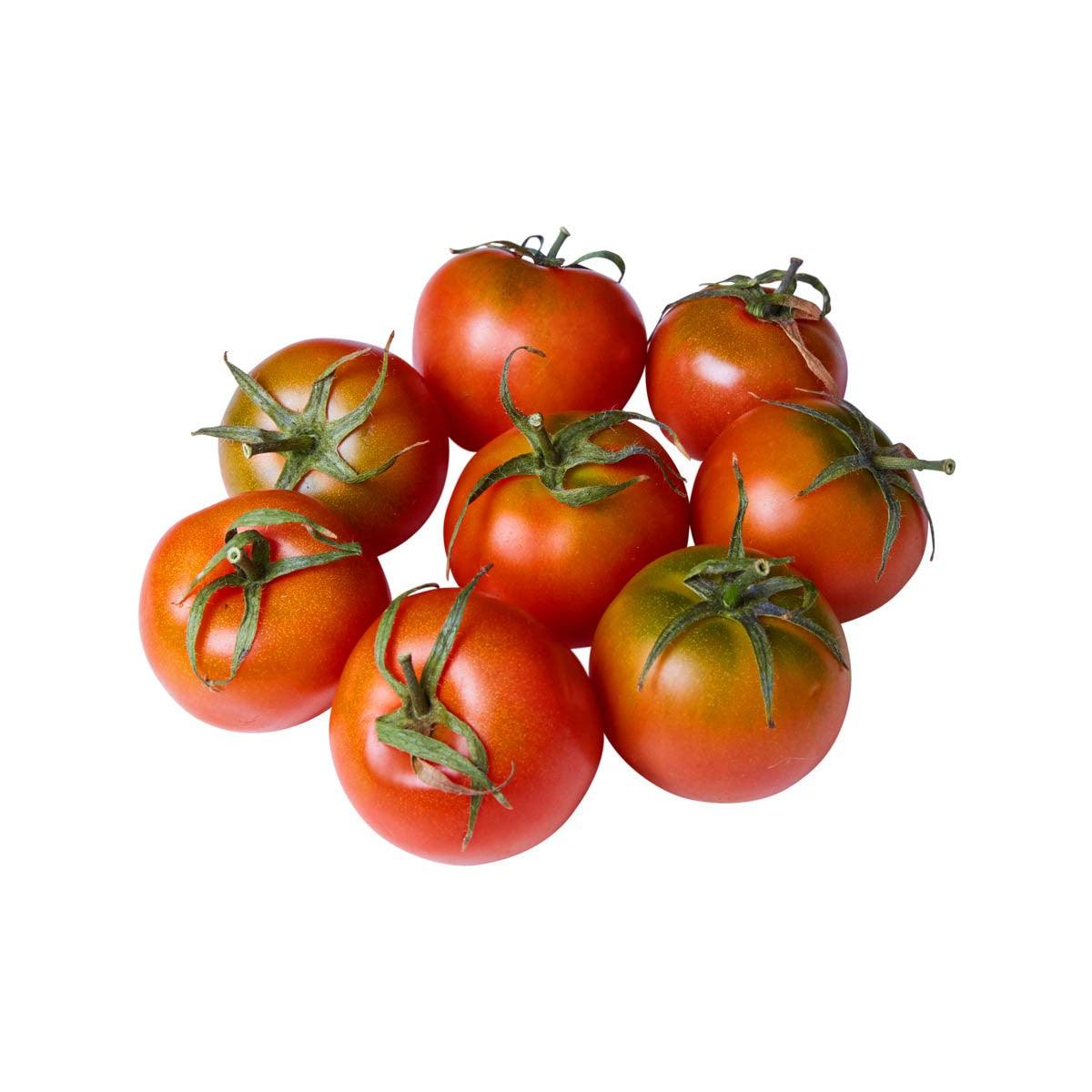 Bunch of ripe red-orange Italian Camone tomatoes with green stems
