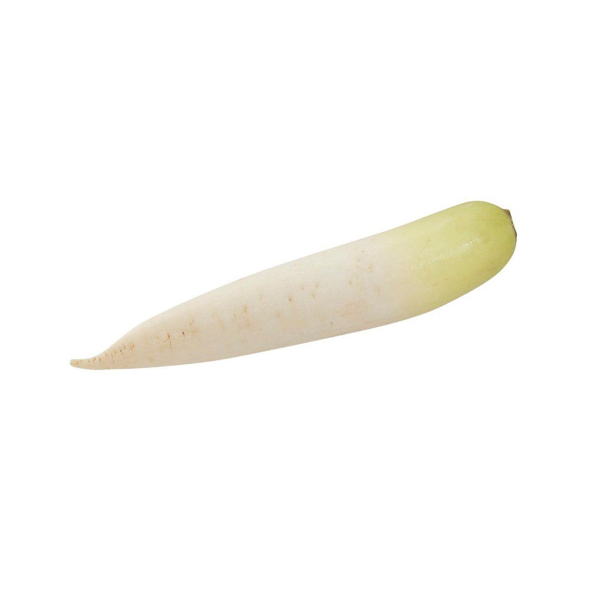 Japanese organic daikon radish, light green and white, long fresh root