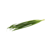 Organic chives bunch, bright green leaves with pale stems