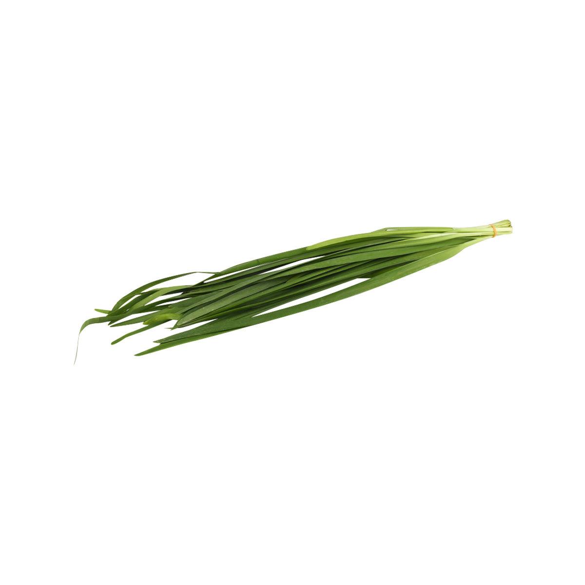 Organic chives bunch, bright green leaves with pale stems