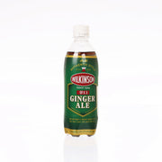 WILKINSON dry ginger ale bottle, PET 500 mL, green label front