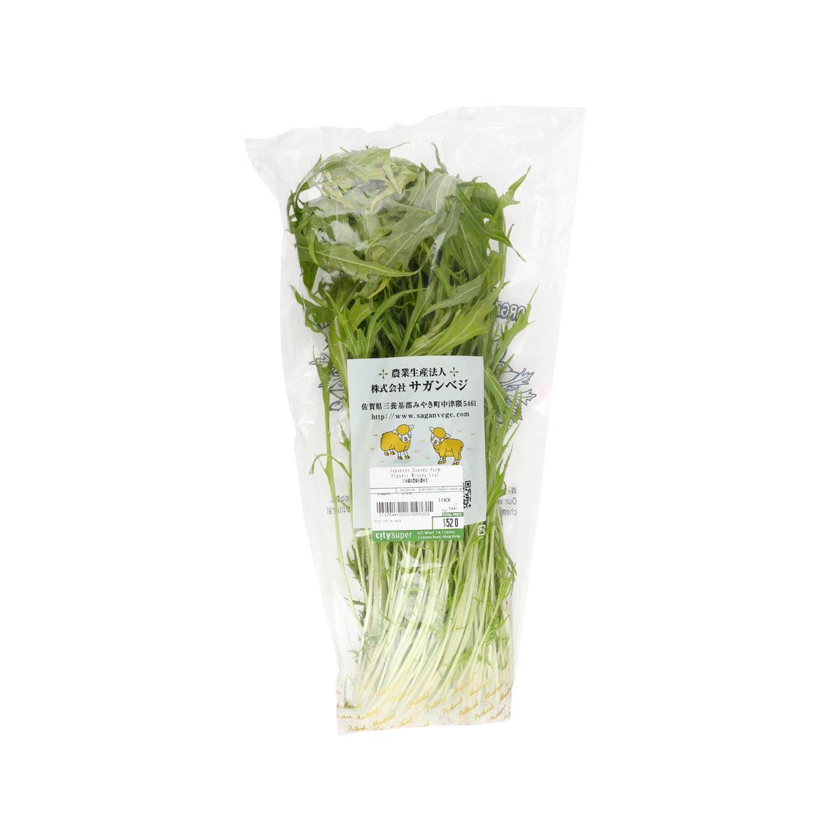 Organic mizuna leaf bag with leafy greens and long pale stems, sealed pack