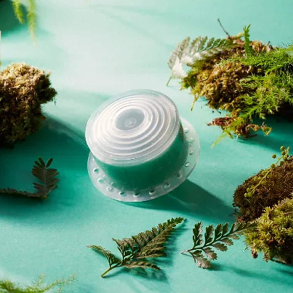 Shower filter cartridge with ribbed white top and clear body