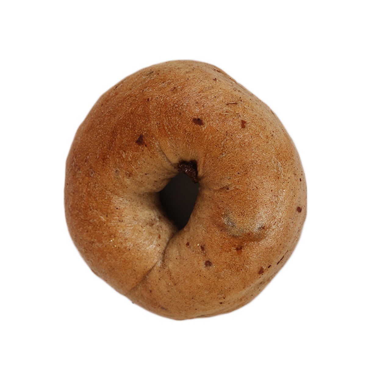 Cinnamon raisin bagel, round with dark raisin pieces
