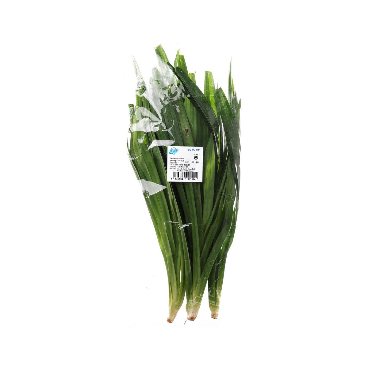 Pandan leaves bundle, long green leaves tied together for Thai cooking
