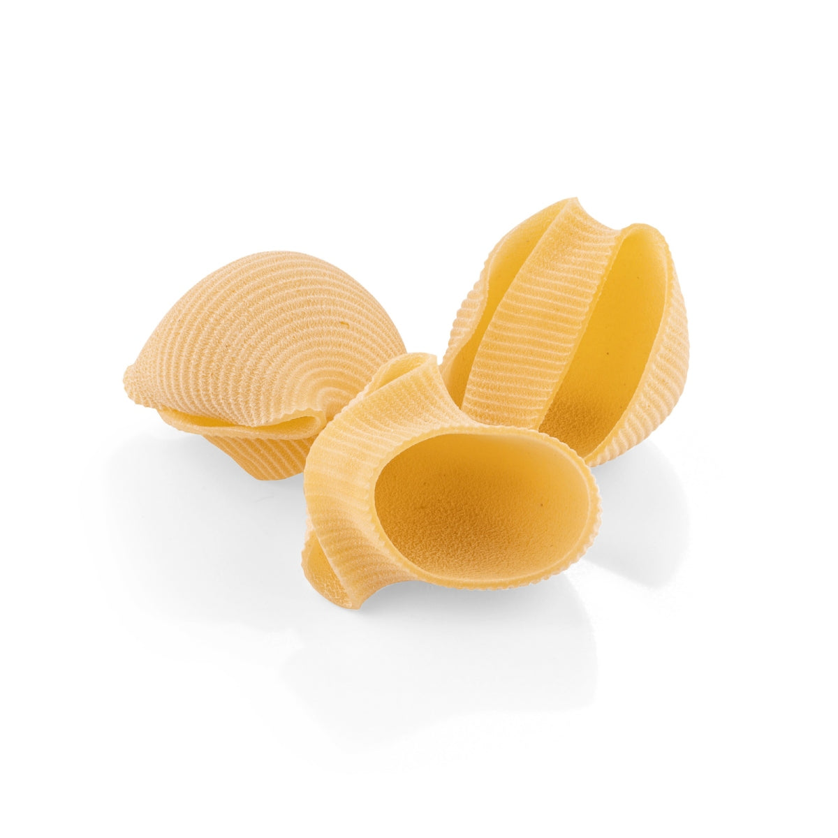Ridged shell-shaped lumaconi pasta pieces in light golden color.