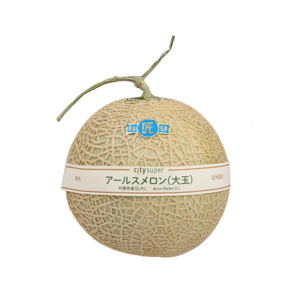 Large Arus melon with beige mesh netting and green stem