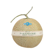 Large Arus melon with beige mesh netting and green stem