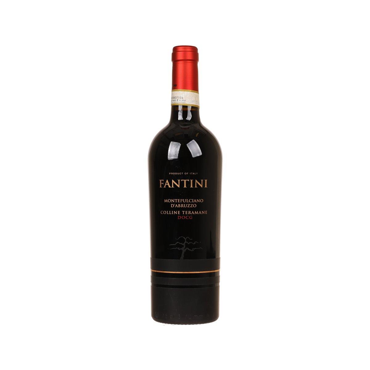 FANTINI Montepulciano wine bottle with red capsule and dark label, front view