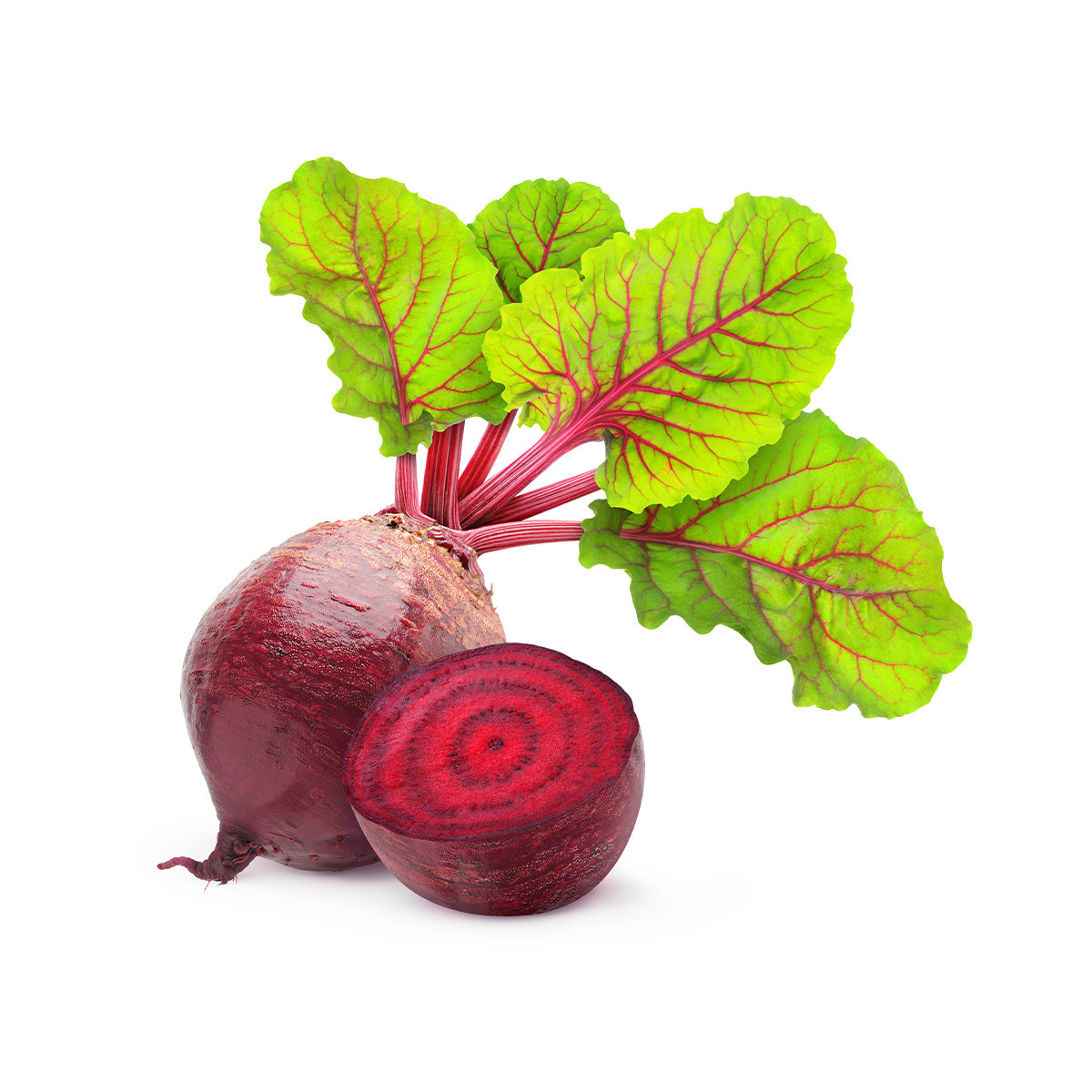 Fresh beetroots with leafy greens and red-purple roots