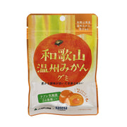 Mikan gummy pouch, orange-brown package with fruit illustration and Japanese text