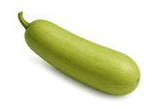 Chinese zucchini, long light-green vegetable