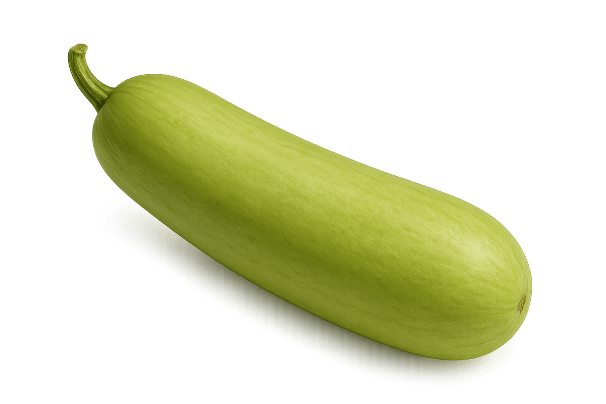 Chinese zucchini, long light-green vegetable