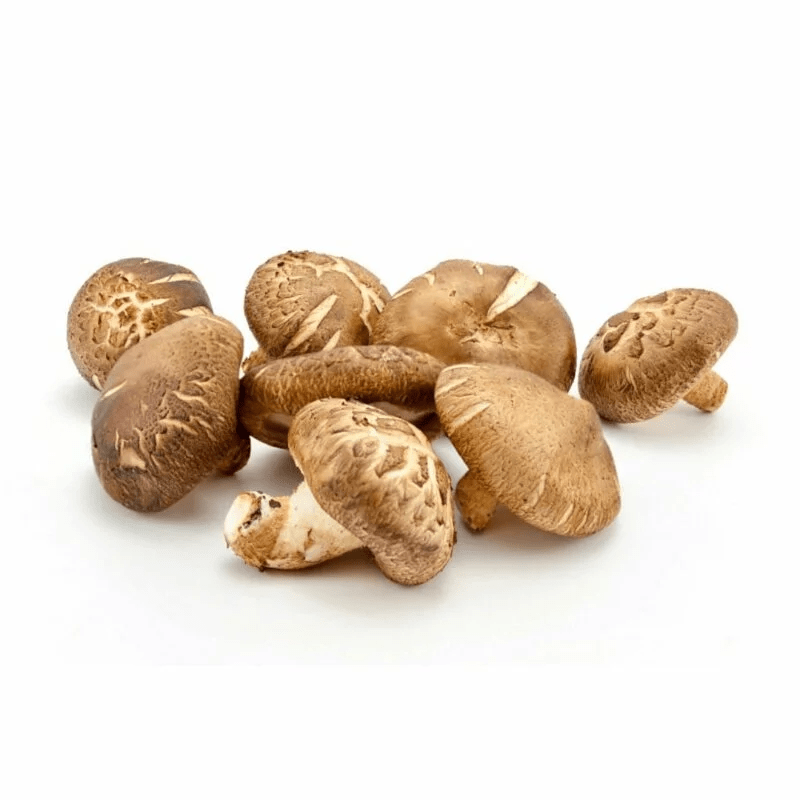 Fresh shiitake mushrooms, small brown caps and stems in a cluster