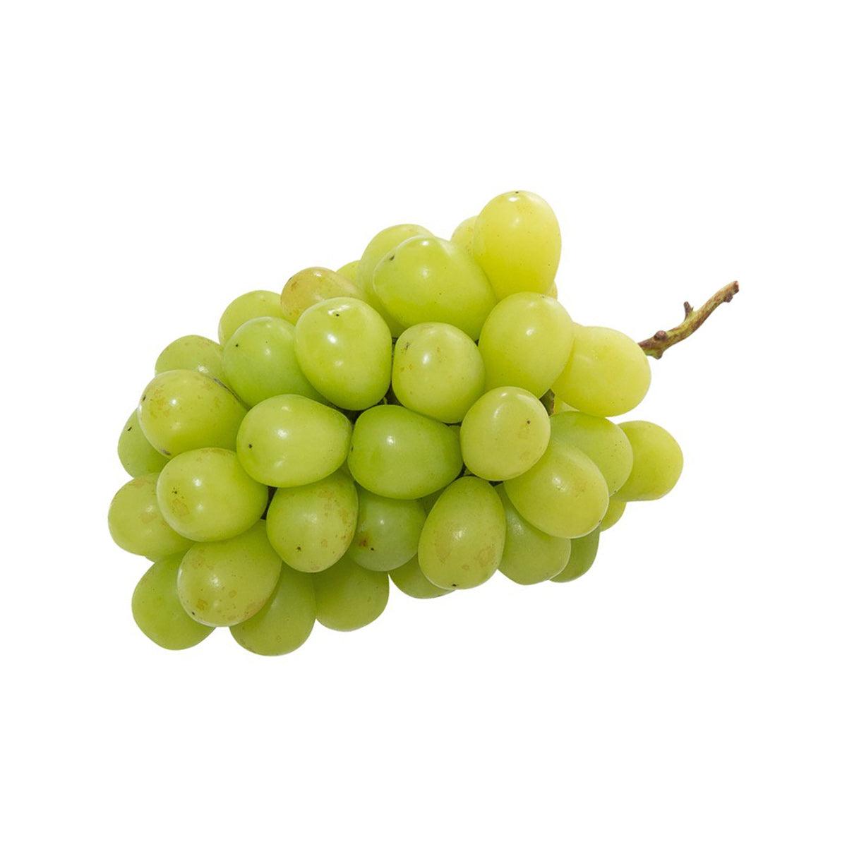 Seedless green Muscat grape bunch, fresh-looking round grapes