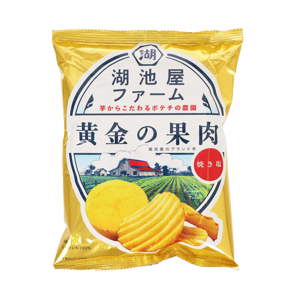 KOIKEYA roasted salt potato chips bag with front view and yellow chip graphic