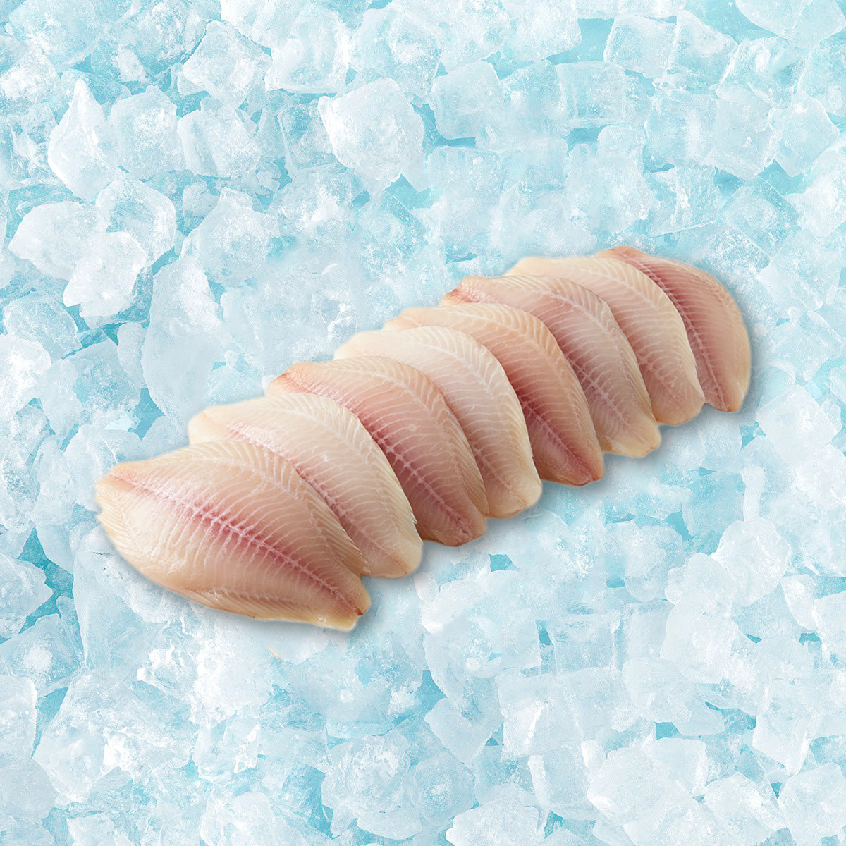 Tilapia fish fillet portions, raw, pale pink with visible white flesh lines