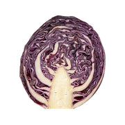 Belgian red cabbage half, purple leaves with pale core