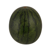 Japanese watermelon fruit with dark green mottled skin and small stem top