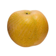 Japanese Housui pear, whole yellow fruit with short stem and speckled skin