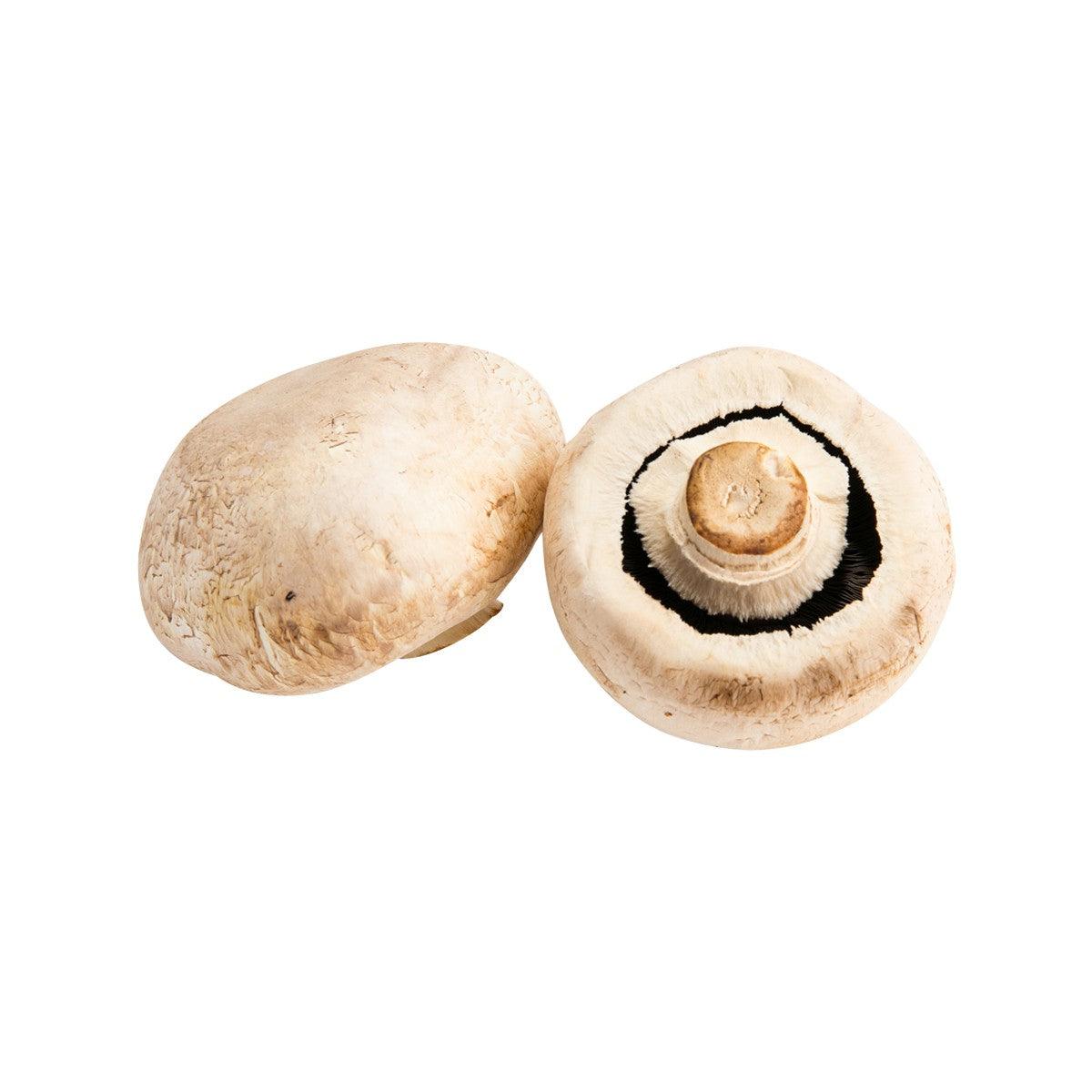 White giant mushrooms, one halved with beige interior and dark ring
