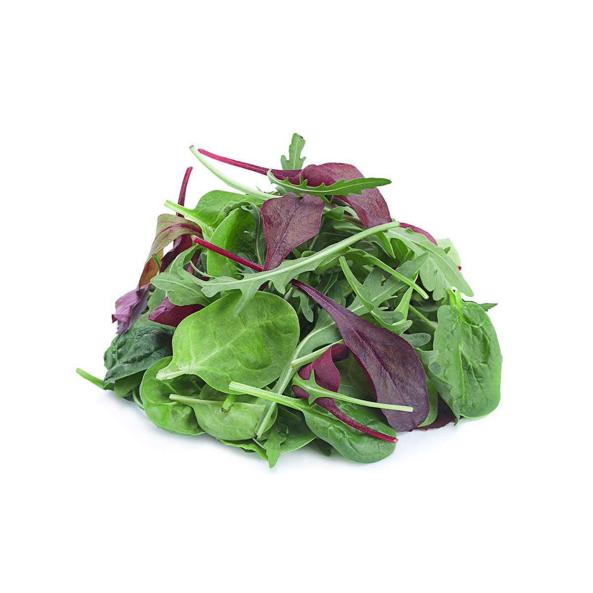 READY PAC coleslaw, shredded green and purple cabbage salad with herbs