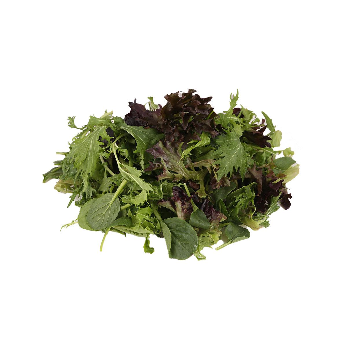 Mesclun salad mix: loose leafy greens with green and dark purple leaves