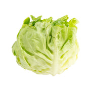 French butter lettuce head, light green leafy leaves