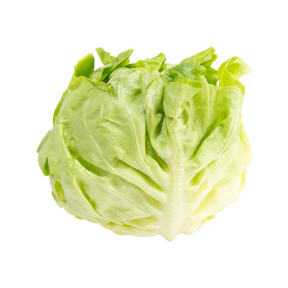 French butter lettuce head, light green leafy leaves
